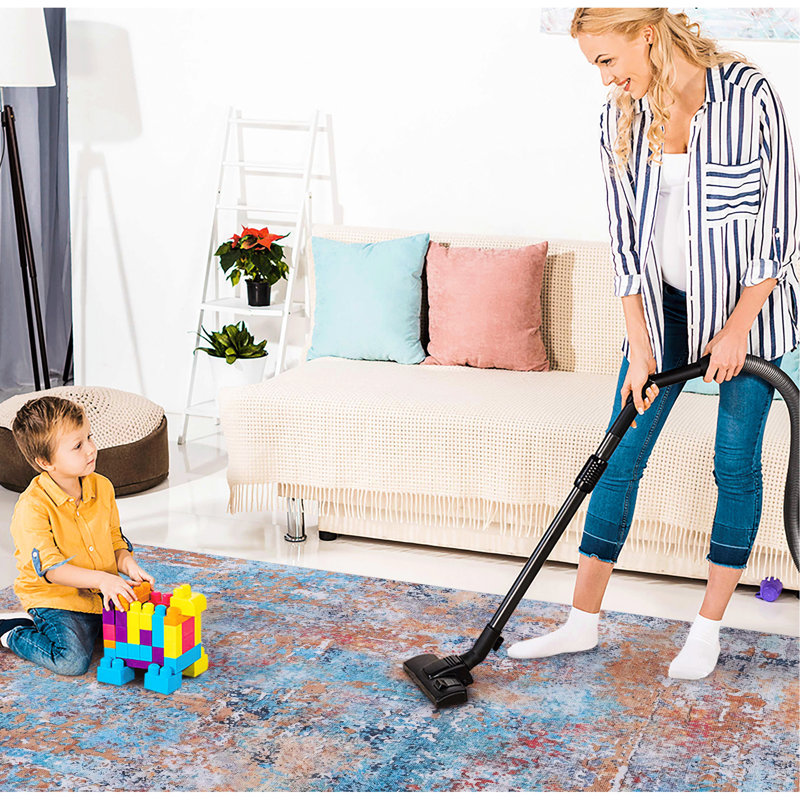 Tapis de couloir 9x12 - Lavable, à poils courts, antidérapant, ne perd pas ses poils, pliable et approuvé pour les animaux domestiques, tapis de couloir antitaches pour divers coins.