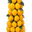 Arbre conique topiaire 24 "citronnier-1189661835