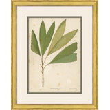 Palm Leaves 6 Giclee Print by Soicher Marin Archives