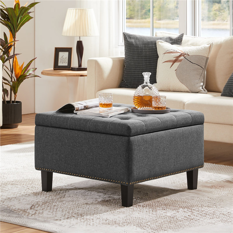 Banc de rangement rembourré Riella, H 18 po x l 28 po x P 28 po