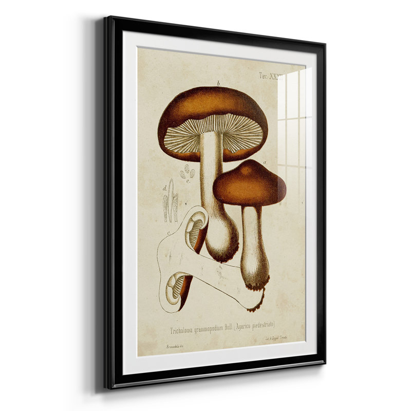 Champignon Variétés VI, reproduction encadrée de qualité supérieure, prête à être accrochée, H 24,5 po x l 55,5 po x P 1 po