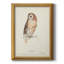 Tawny Owl Tawny Owl - impression-1226131197