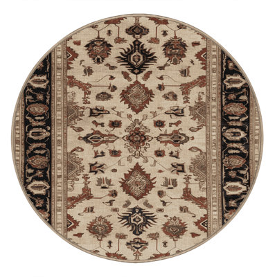 Machine Washable Persian Brown Area Rug