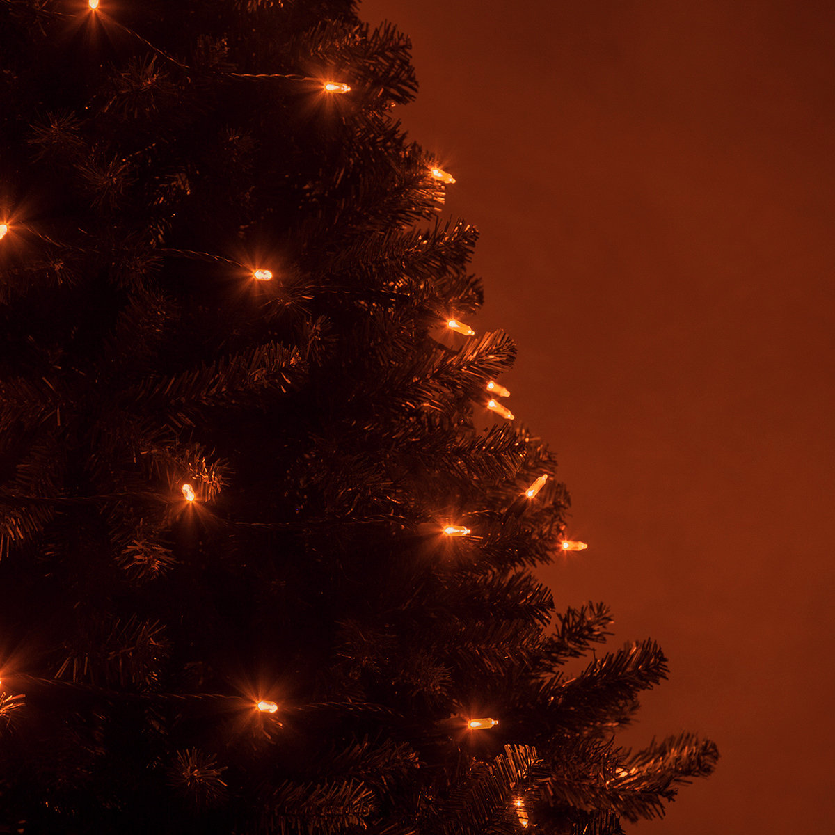 25.5' Steady LED String Lights, Orange