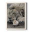 Sleepy Af après-midi au Masai Mara - Photographie de cadre photo sur toile-190280337-190280336