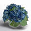Hortensias en vase-1961224518