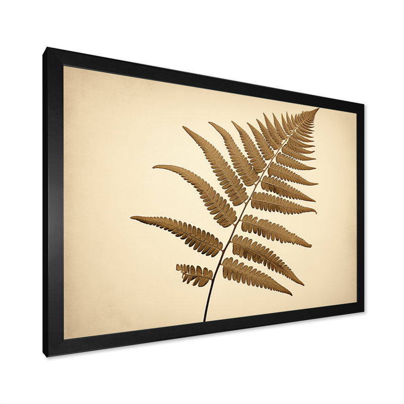 Fougère beige plante intemporelle élégance I - imprimé, Cadre simple noir, H 16 po x l 32 po x P 1 po
