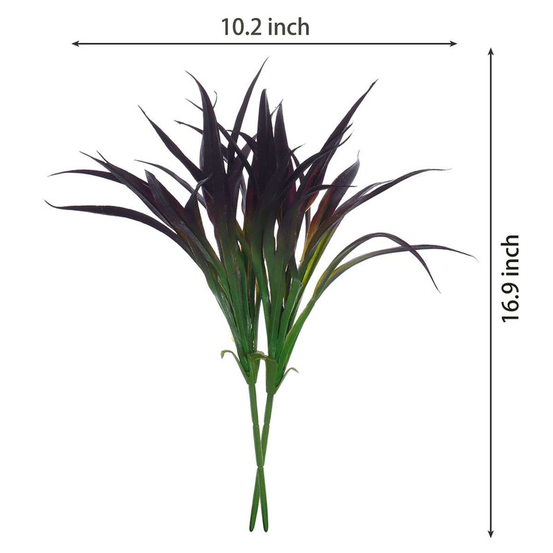 16,9 plante, Mauve