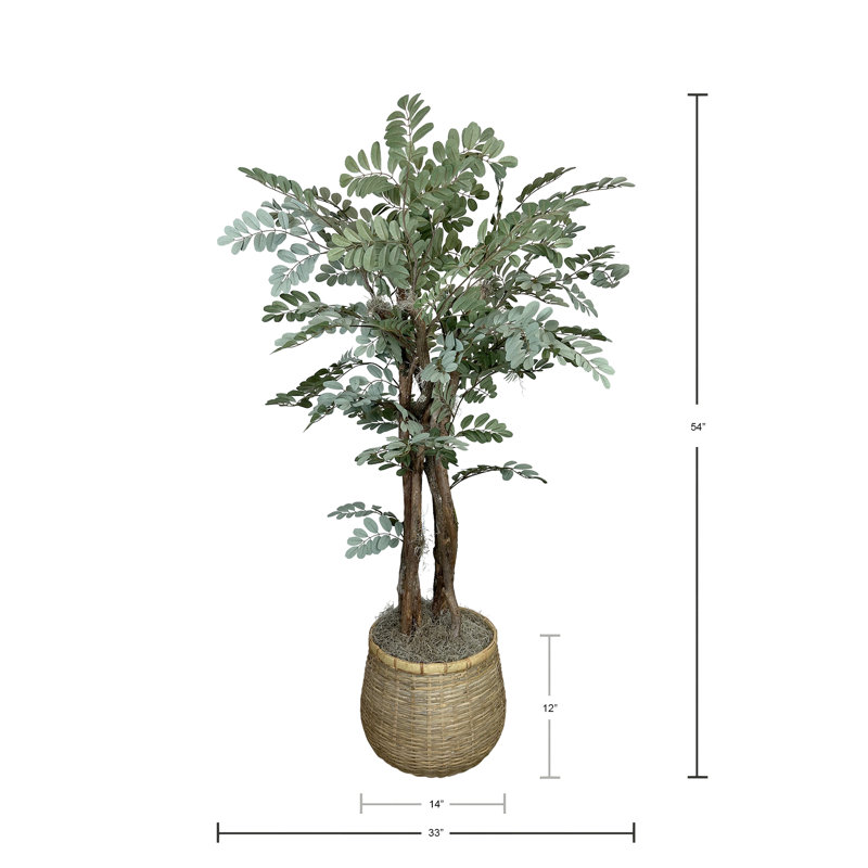 Organic Modern 4.5' Faux Moringa Tree