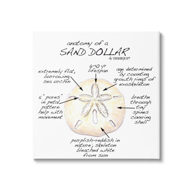 " Informative Sand Dollar Learning Chart Nautical Education " by Dishique