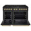 ZLINE Autograph 48" Paramount Dual Fuel Black Stainless Range w/ Gold Accents (SDRBZ-48-G)-1156668951