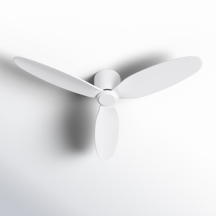 Hardy 3 - Blade Flush Mount Ceiling Fan with Remote Control