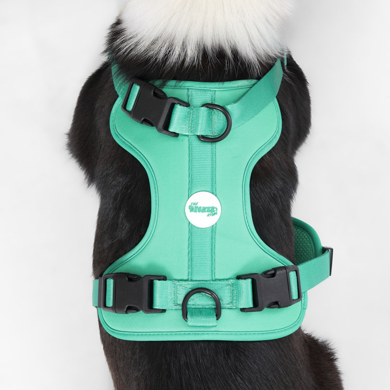Harnais pour animal de compagnie Arlo, Émeraude, 37" W x 37" D