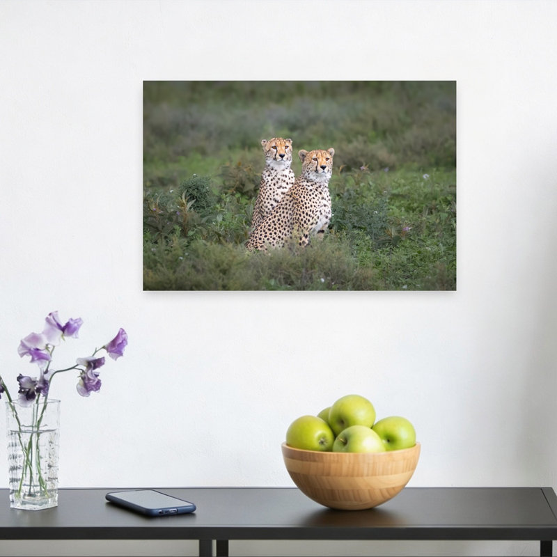 Watchful Cheetah Pair Serene Contemporary Cat Nature Wildlife Wall Art Print, 30.48cm H x 45.72cm W