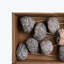 Plateau Talami On Stem 20Pc