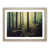 Oak Framed