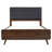 Platform Bed-1864647309