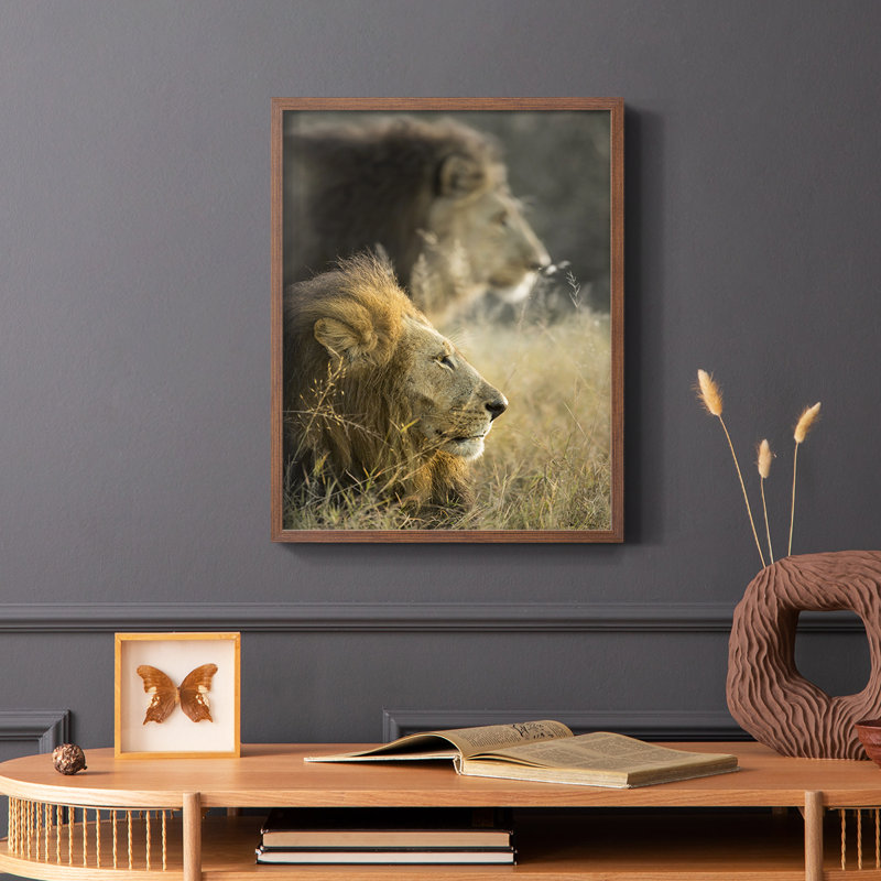 «Lions in Morning Sun», reproduction encadrée - bois massif, Brun, H 14 po x l 11 po
