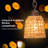 Failand 65'' LED Tree Floor Lamp-1897861490