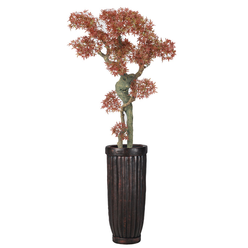 65"H Real-touch Bonsai plant