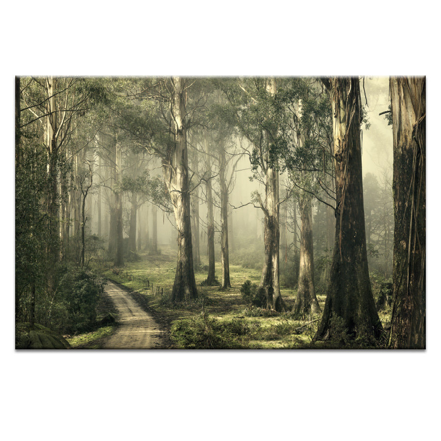 'Silently Still' by Andrew Paranavitana Photographic Print on Wrapped Canvas
