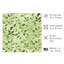 «Botanical Green Botanical Plants IV», reproduction d'art moderne sans cadre