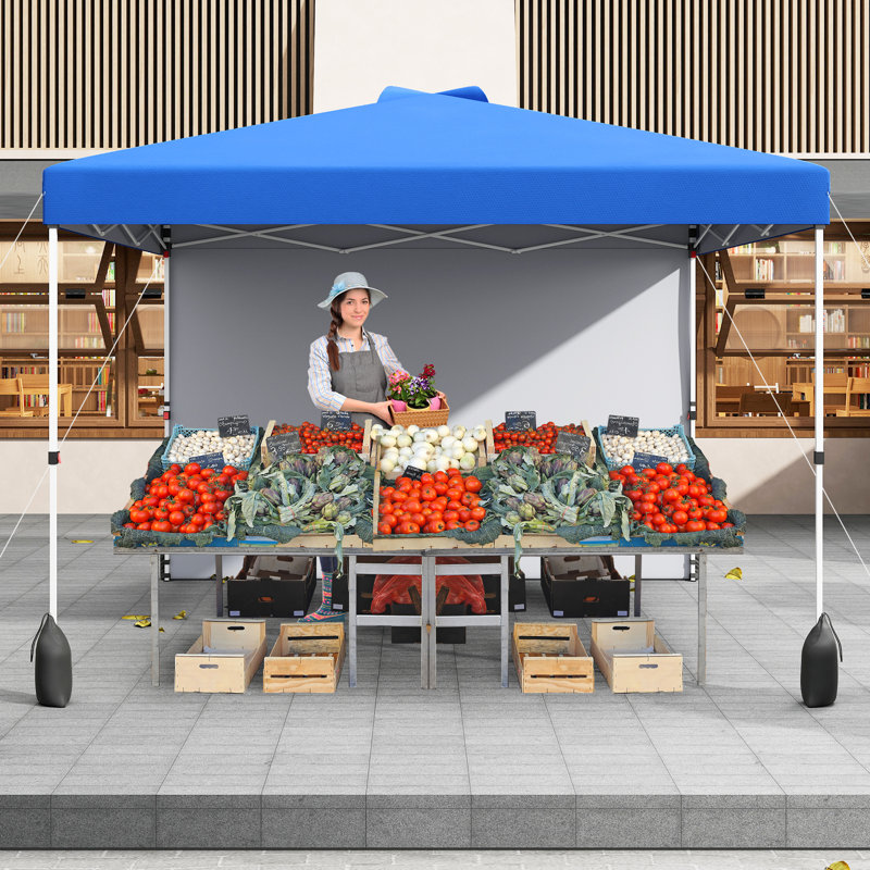 Outdoor 300 X 300 Cm Pop Up Blue Canopy Tent W/ 1 Sidewall & Wheeled Bag