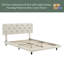 Lit Ipsa-1016694962-1016694963