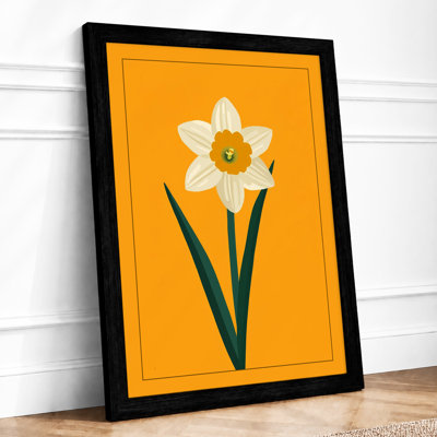 Daffodil Study Botanical - Framed Print