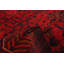 Tapis de bois one-of-kind à la main-noué la 2010 esari turque rouge 5 pi x 6 pi en laine 3 po Allaina
