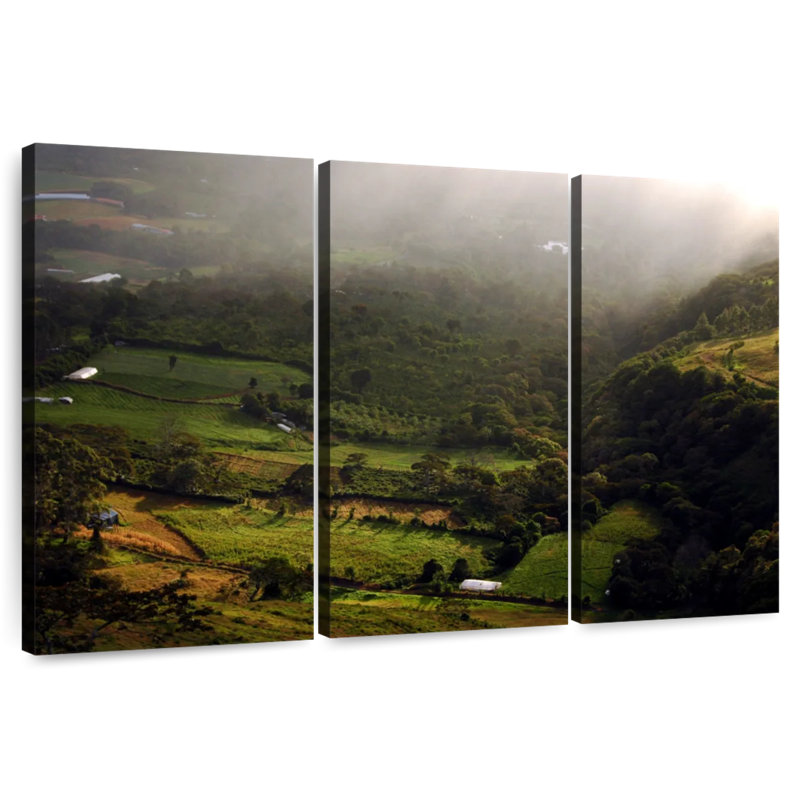 Nicci Volcan Baru Fields, 28" H x 45" W