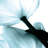 " Translucent Tulips II Sq Aqua Crop " by Debra Van Swearingen 2 - Pieces-25345766-25345764