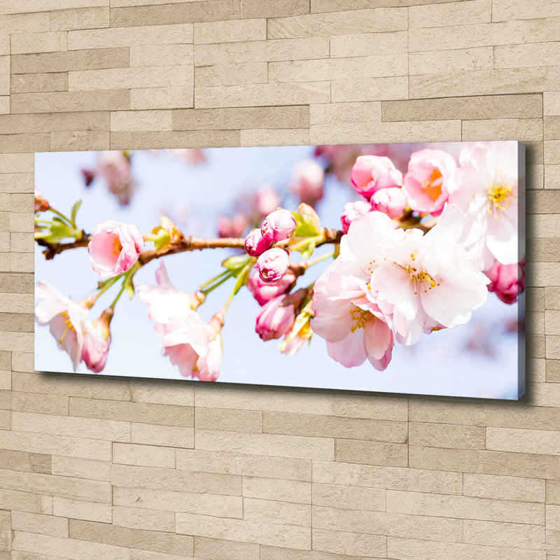 Cherry Blossoms - Wrapped Canvas Print