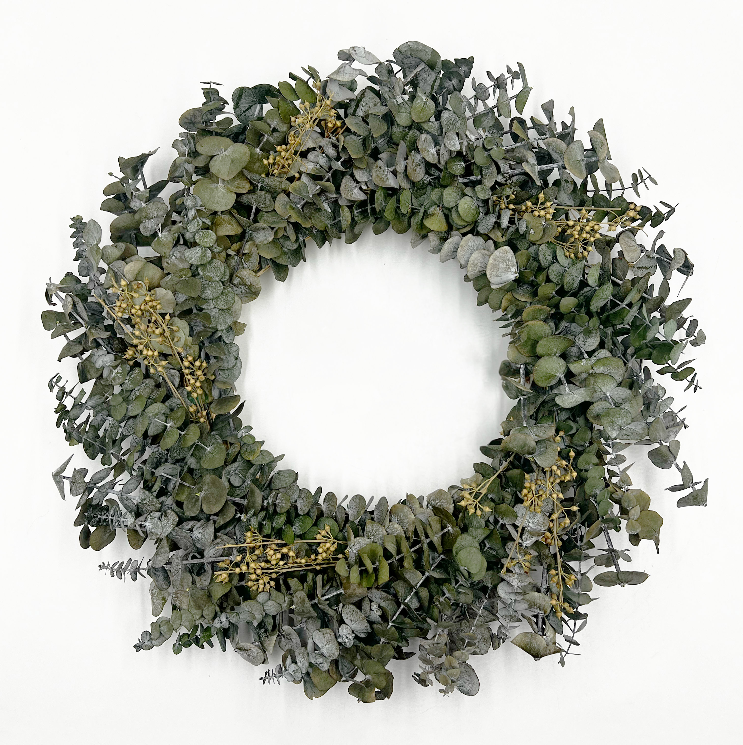 Primrue 21'' Preserved Eucalyptus Wreath | Wayfair