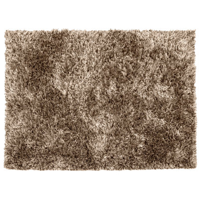 Lenard Rectangle Hand Woven Shaggy Area Rug