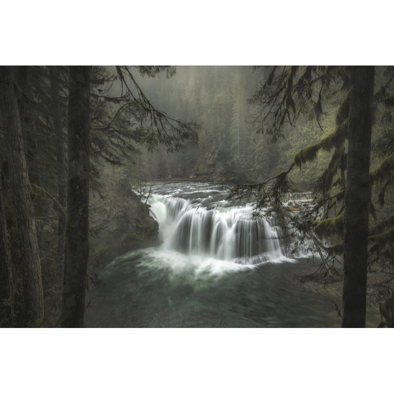 " Misty " Painting Print, 32" H x 48" W x 1.25" D