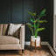 Faux Monstera Plant in Pot-1840779959-1840779956