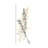 " Willow Branch "-127180716