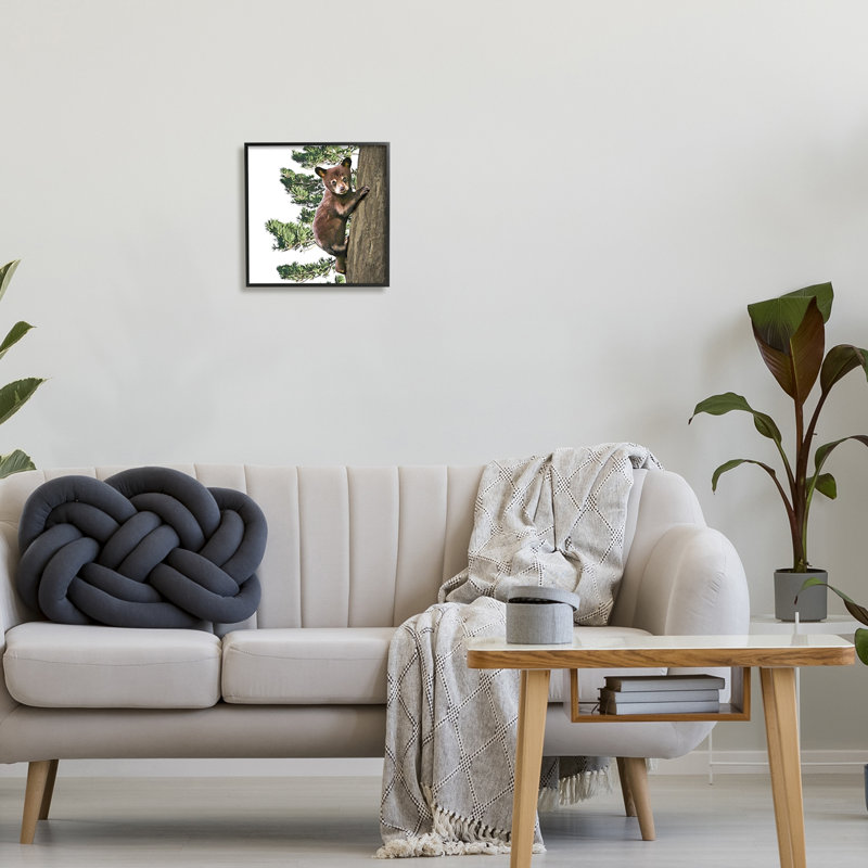 «Bear Cub Climbing Tree Nature» par Kim Curationa - Cadre flottant, impression sur bois, Giclée encadrée noir minuit