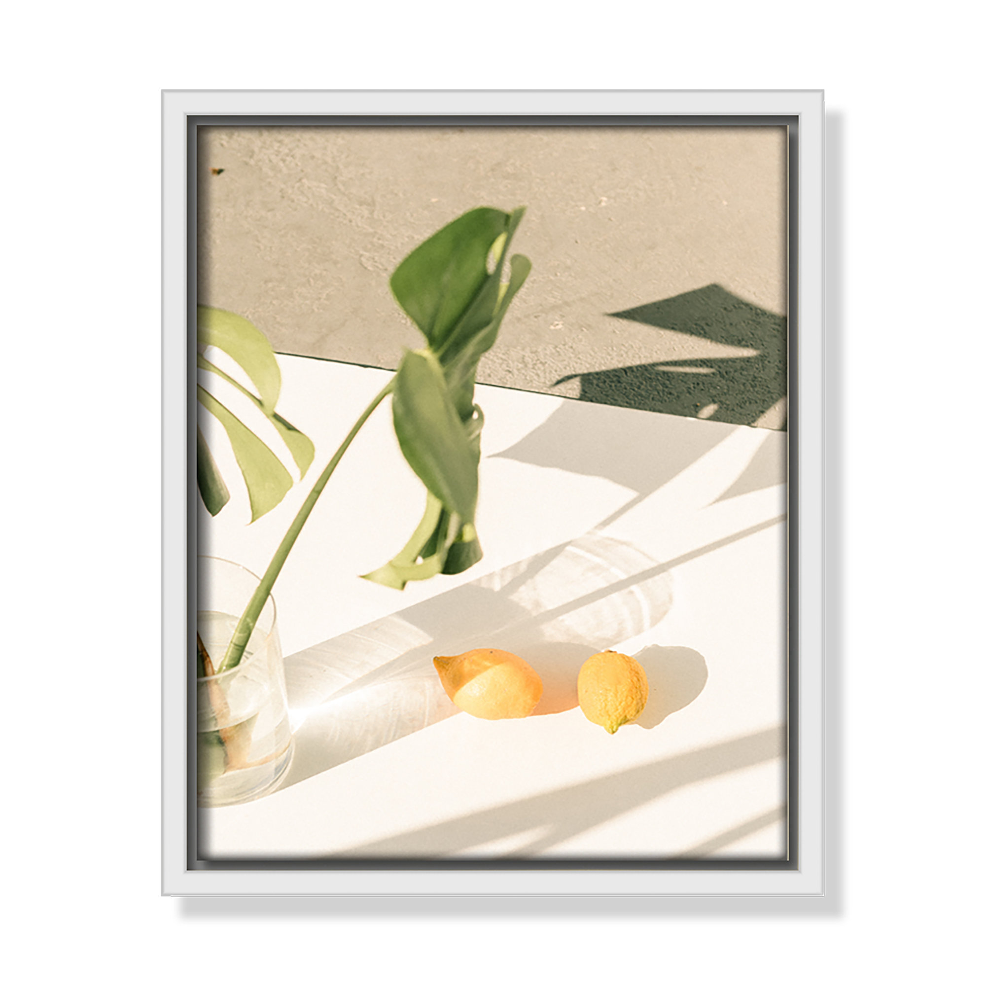 Citrus & Palms by Chandra Oh, 11.5'' H x 9.5'' W x 2'' D, White Framed
