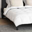 Winter Duvet Set 3 Pcs White 78.7 x 94.5 In Microfiber, Cotton-294276206