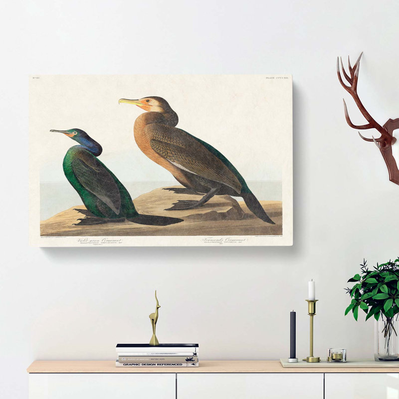 Cormorant Birds by John James Audubon - Wrapped Canvas, 40cm H x 60cm W x 3cm D