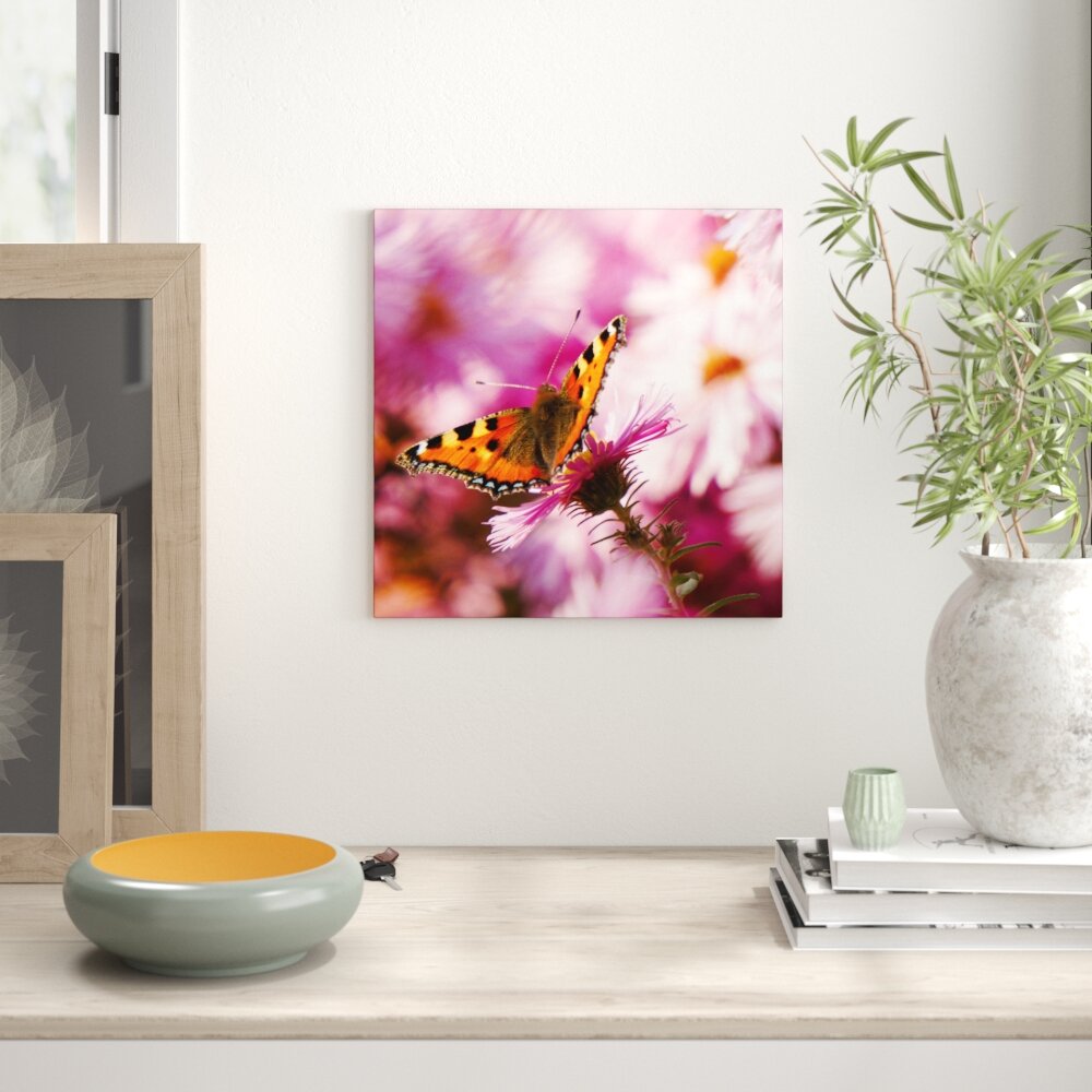 Glasbild Orange Butterfly