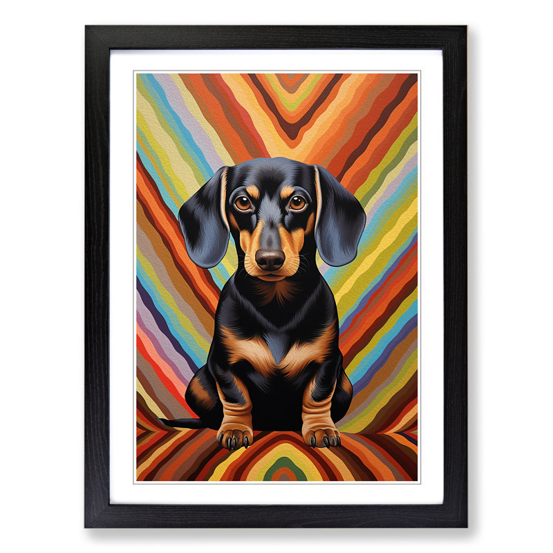 Dachshund Op No.2 Framed Print, 64cm H x 46cm W, Black Framed
