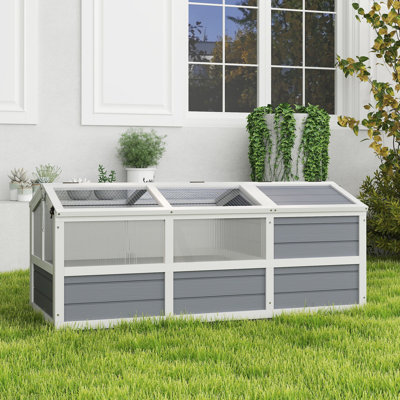 Tortue Habitat
