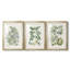 Buchoz Tropicals VI - Impression sur mesure encadrée de qualité supérieure - 3 pièces-1126028811-1126028853
