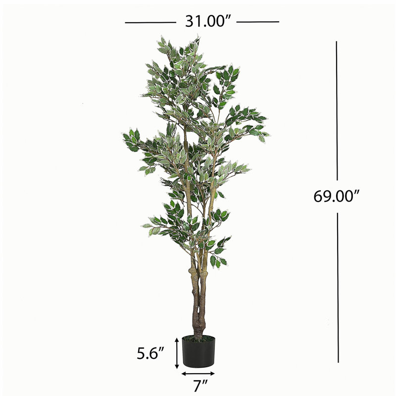 69" Artificial Ficus Tree with Black Plastic Pot