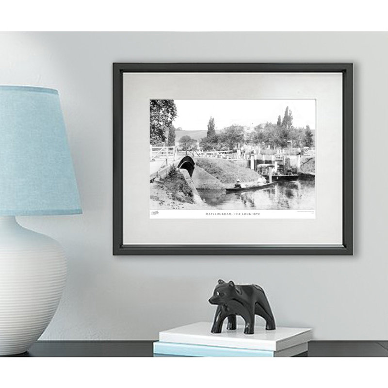Eastwell, Park C1874 - Single Picture Frame Print, 45cm H x 60cm W x 2.3cm D