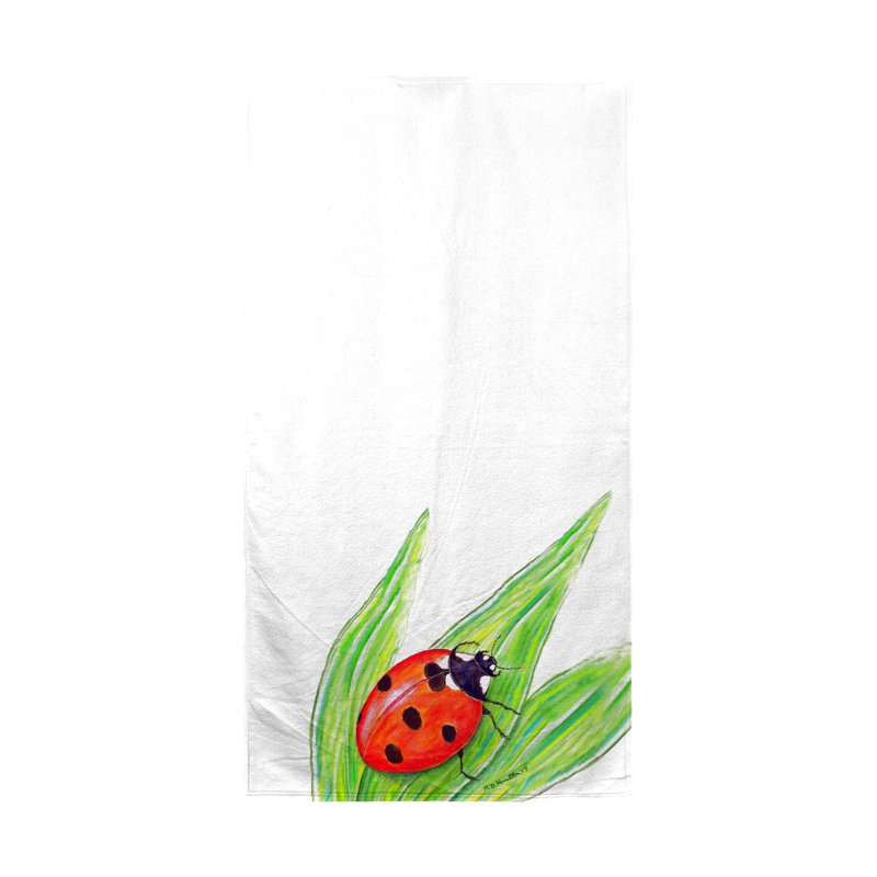 Rittenhouse Lightweight Beach Towel