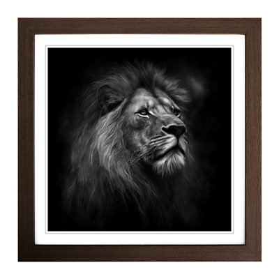 Lion Drawing - Framed Print
